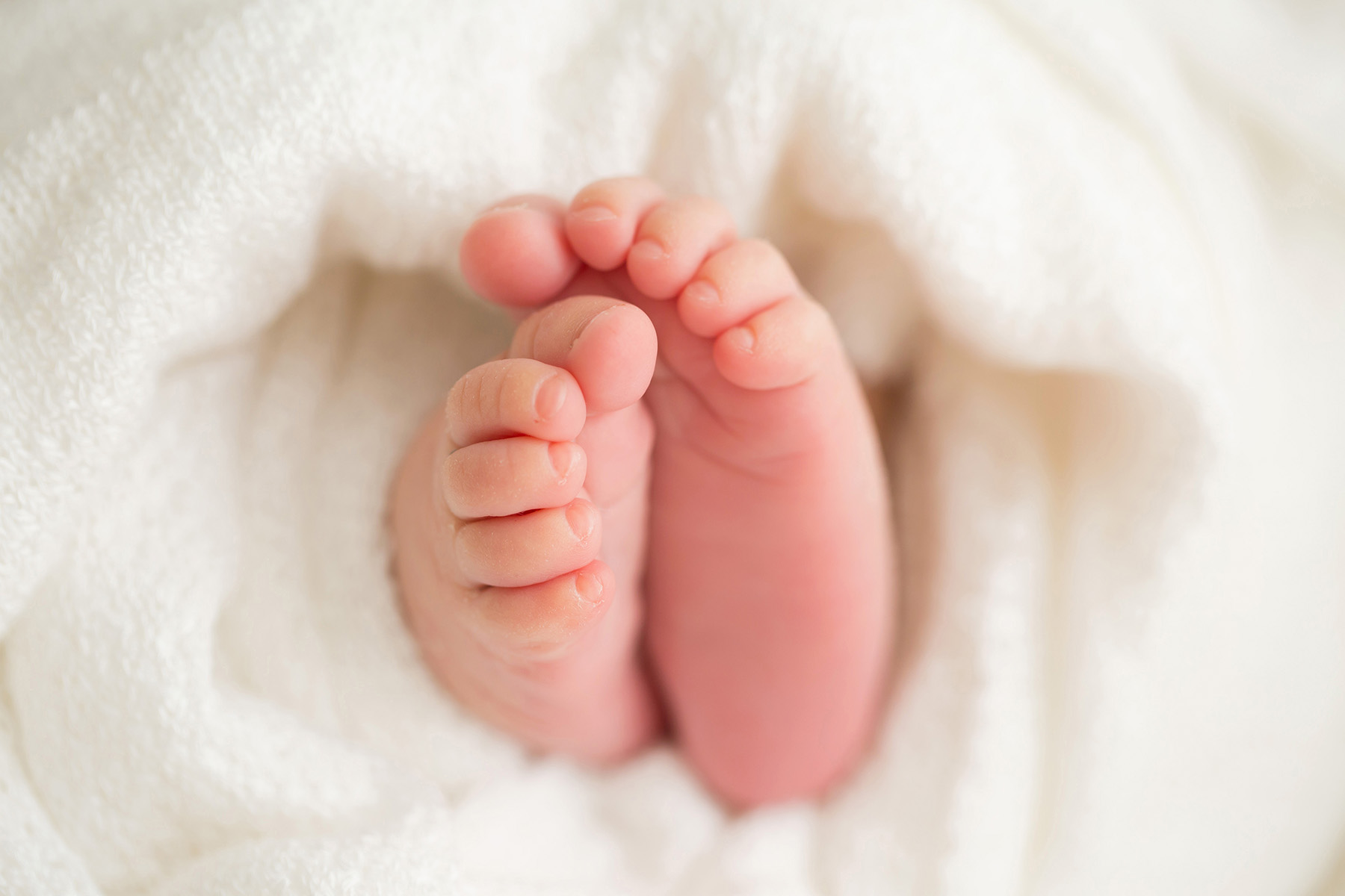 Louisville KY Newborn Photographer | Julie Brock Photography | Family Photographer | Maternity Photographer | Baby toes.jpg
