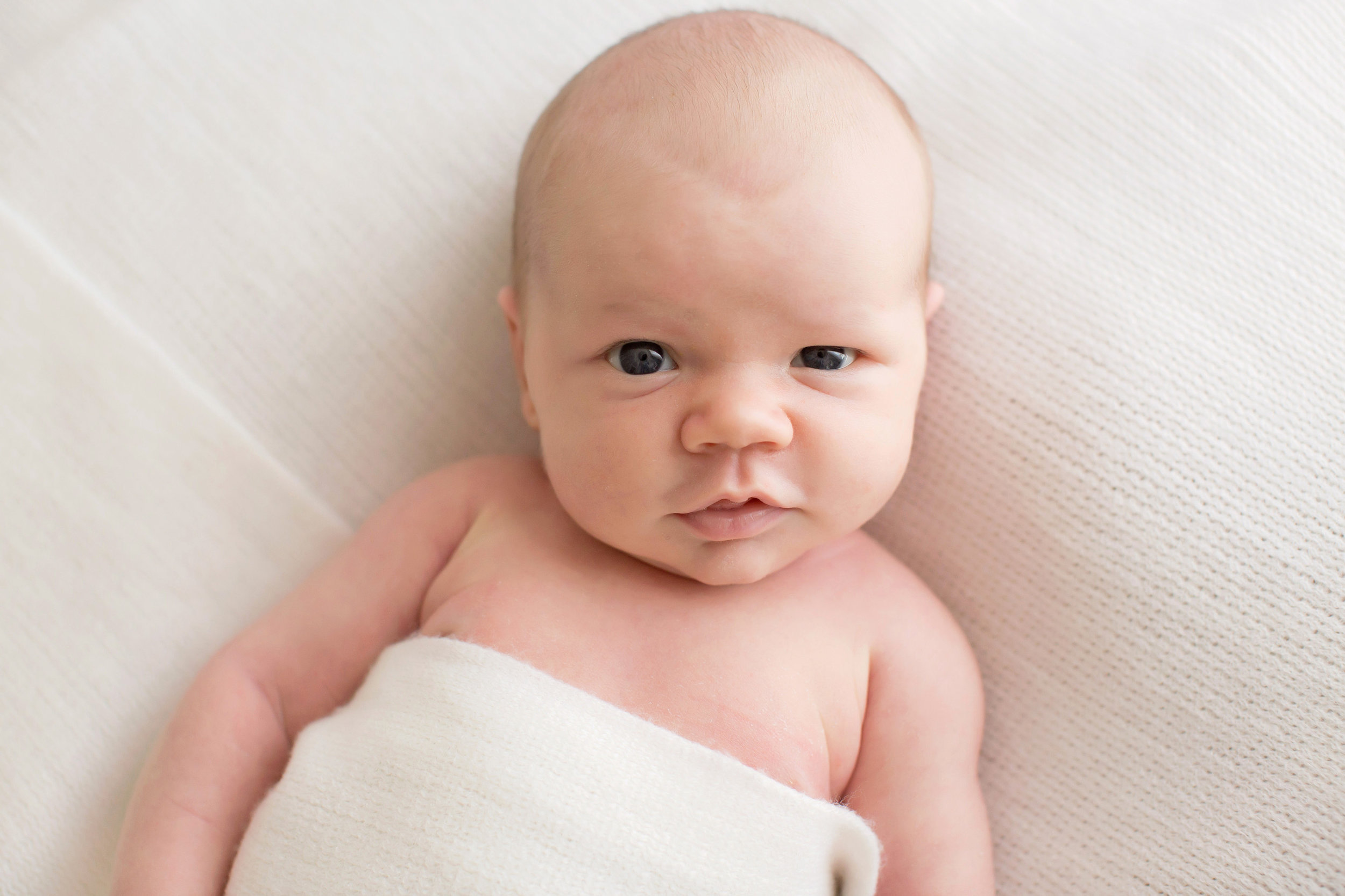 Newborn Photographer Louisville KY | Julie Brock Photography | Funny newborn photos | Top Studio Photographer Louisville | Baby first year photos.jpg