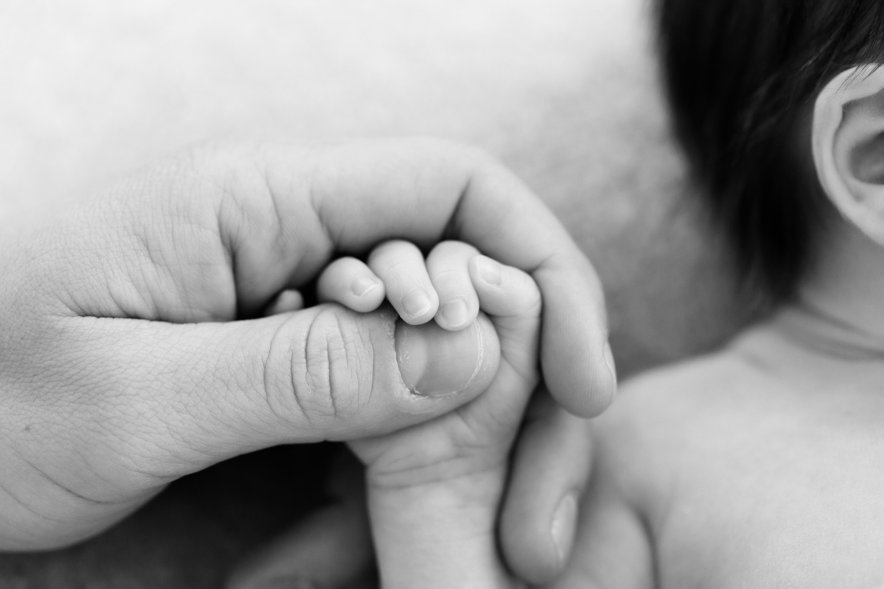 Louisville Newborn Photographer | Julie Brock Photography | Best Louisville Photographer | Maternity Photography Louisville | Dad holding baby.jpg