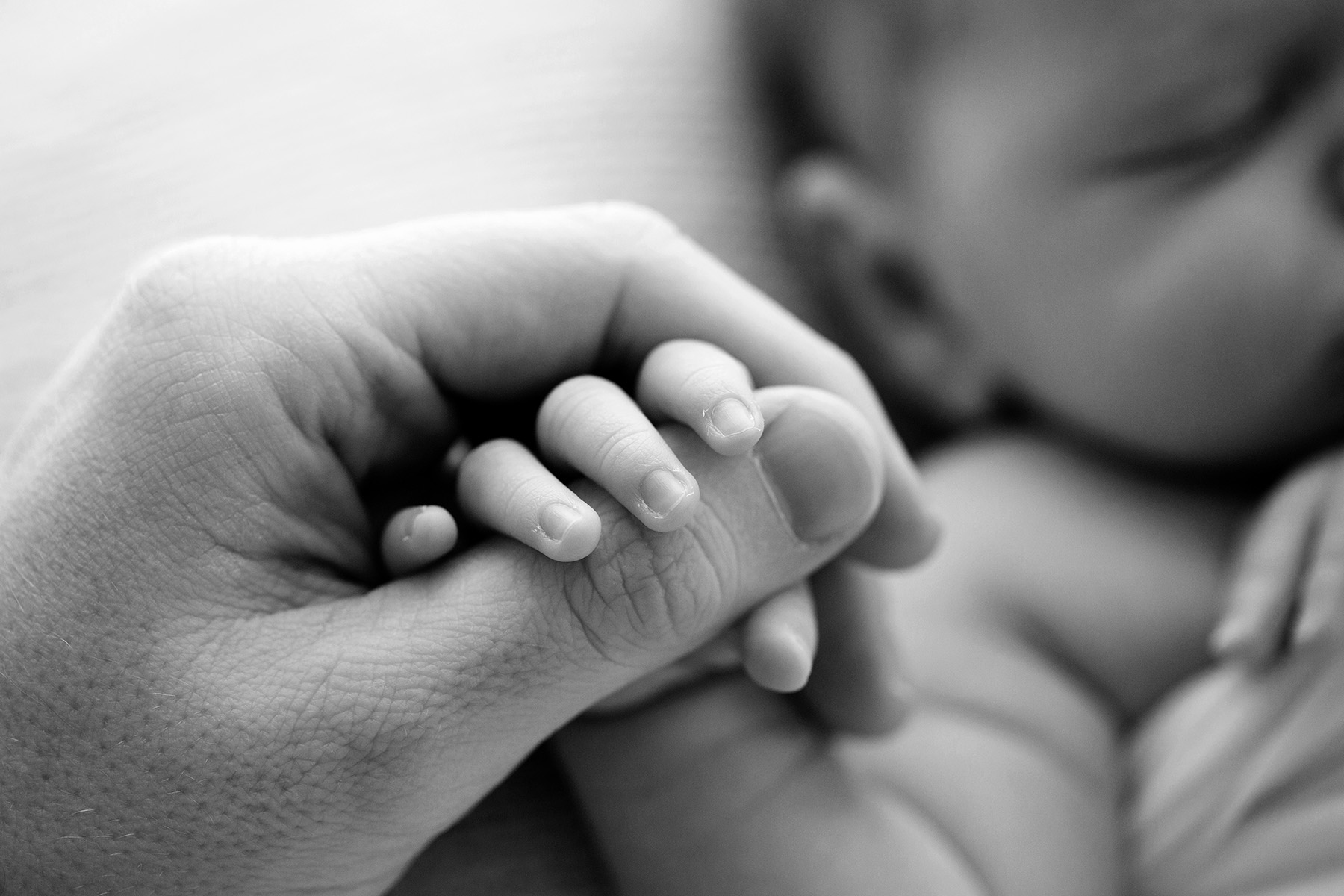 Louisville KY Newborn Photographer | Julie Brock Photography | photo of newborn baby details | dad holding baby hand .jpg