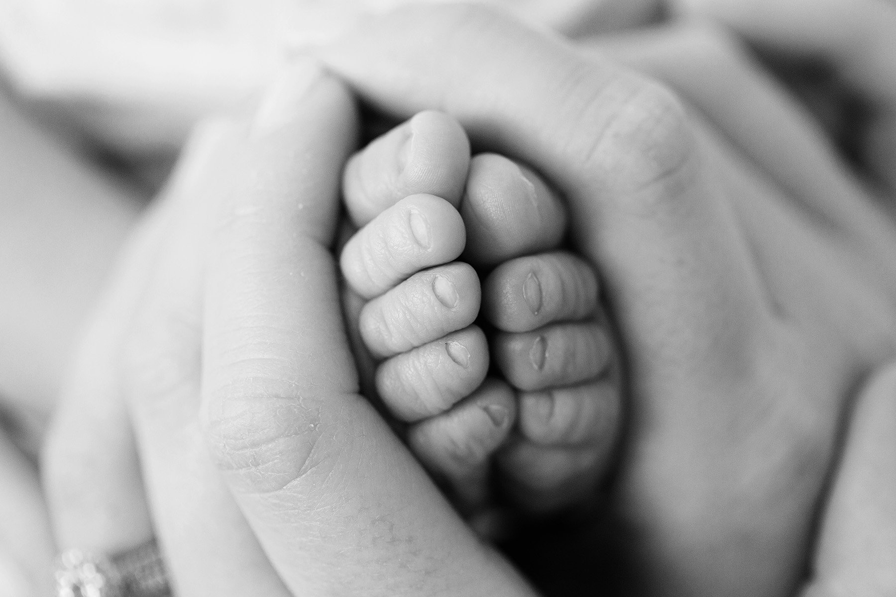 detail image of mom holding baby's toes at julie brock photography in louisvillely ky