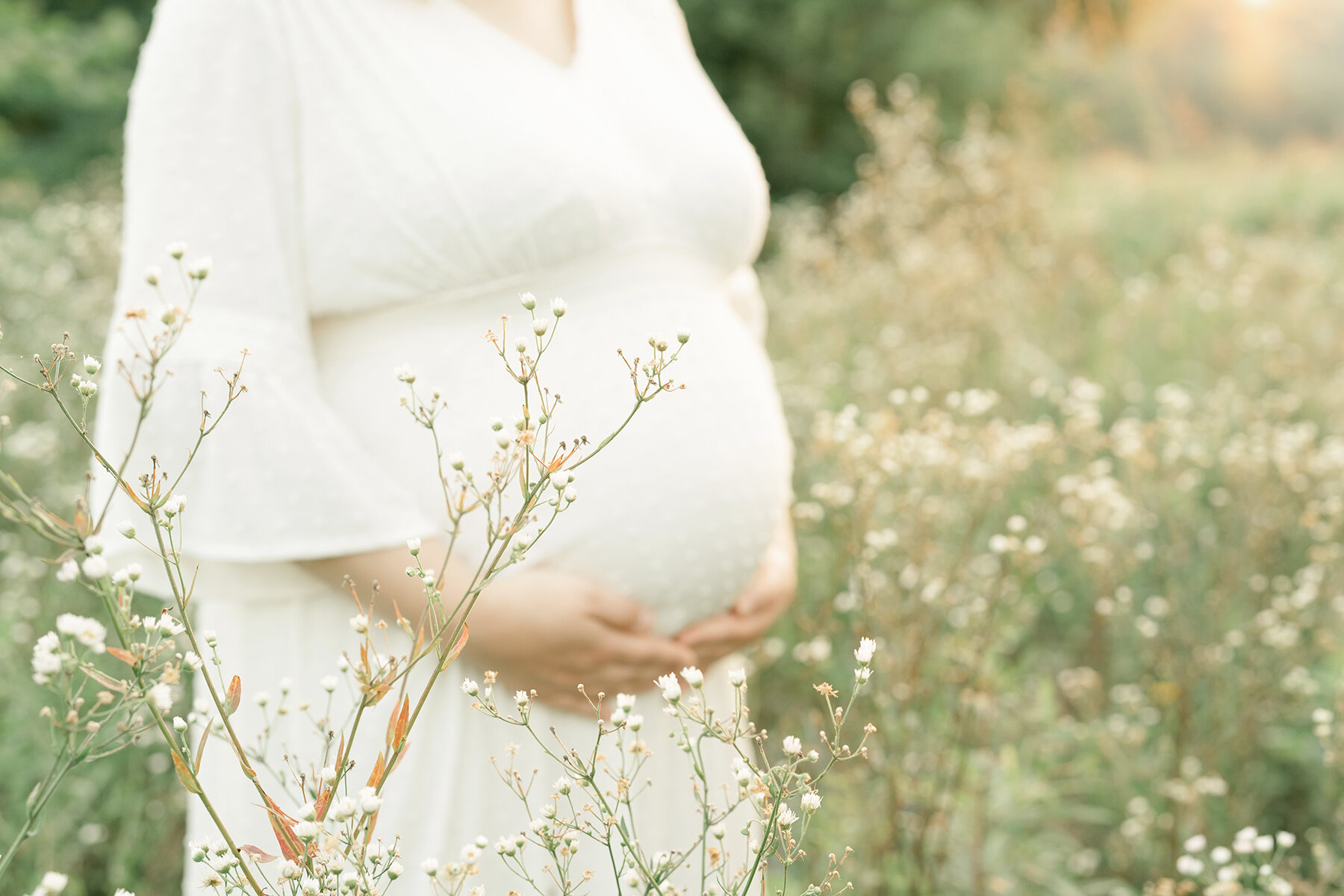 Simple light and airy maternity photo session in field of white flowers - Louisville KY Julie Brock Photography