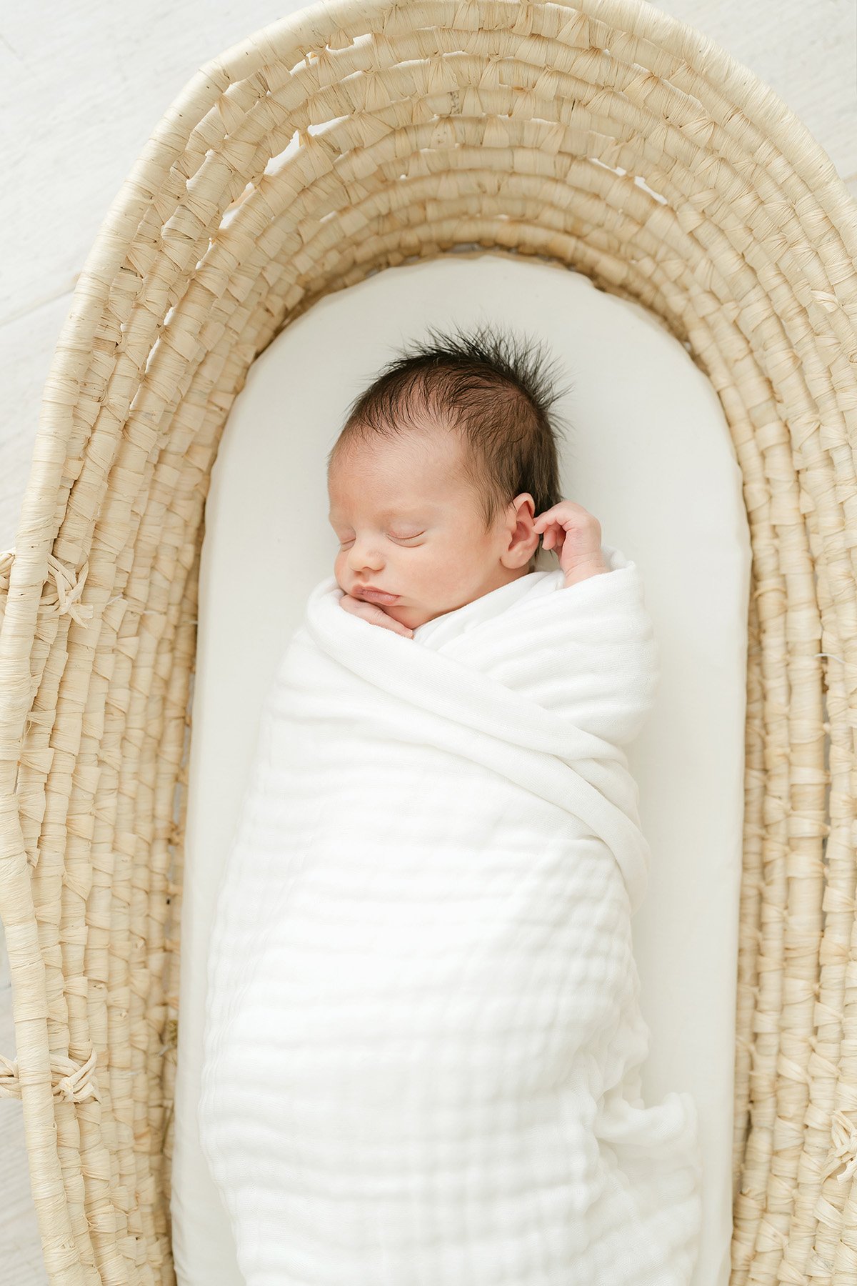 newborn baby sleeps in a Moses basket at Julie Brock Photography Louisville KY