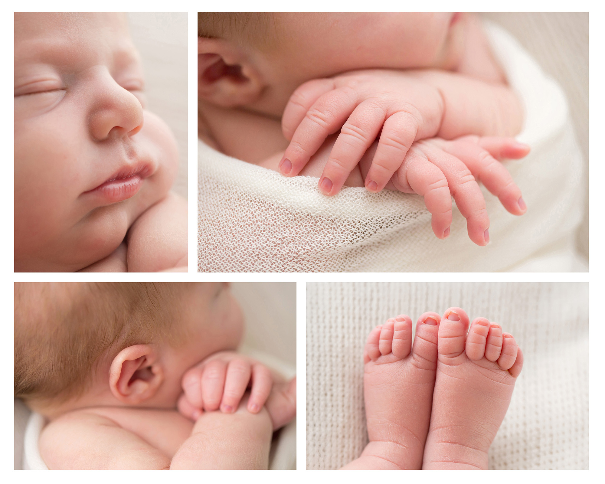 louisville-ky-newborn-photographer-julie-brock-photography-family-maternity-lexington-ky-frankfort-ky-baby-photography-studio