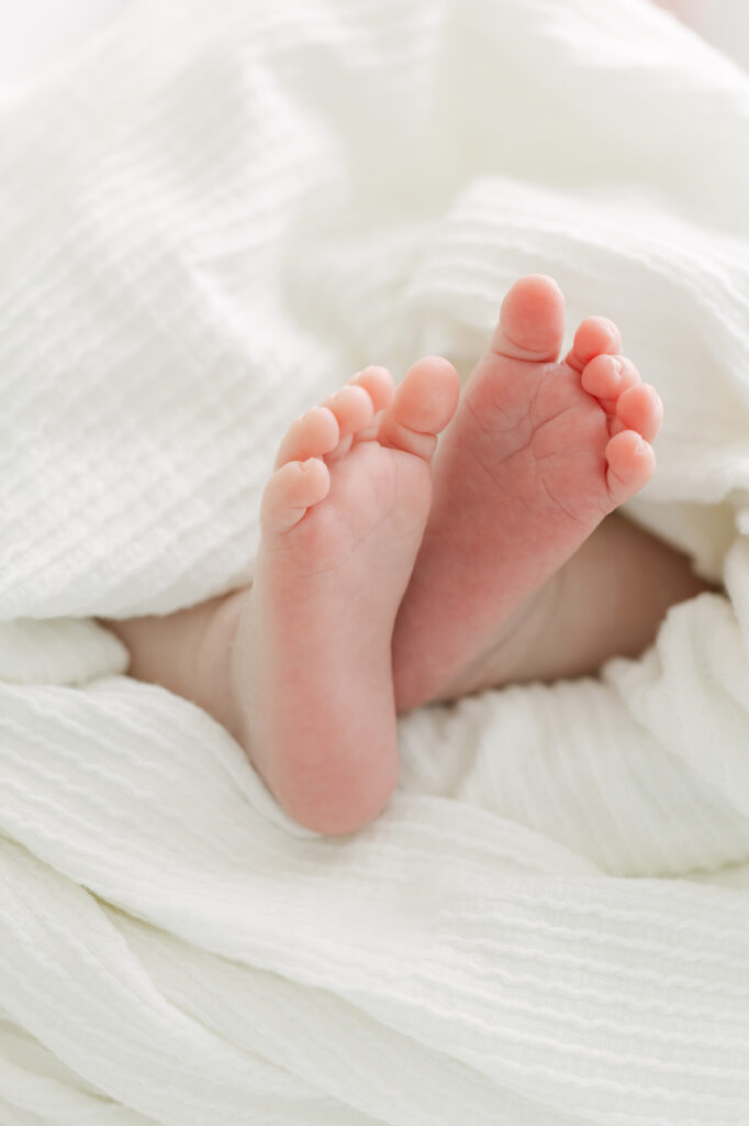 Up close image of newborn toes with Louisville Newborn Photographer Julie Brock