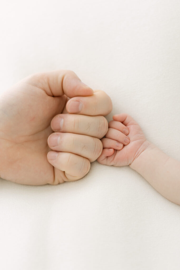 family photography louisvilly ky julie brock : Louisville Newborn Photography Studio