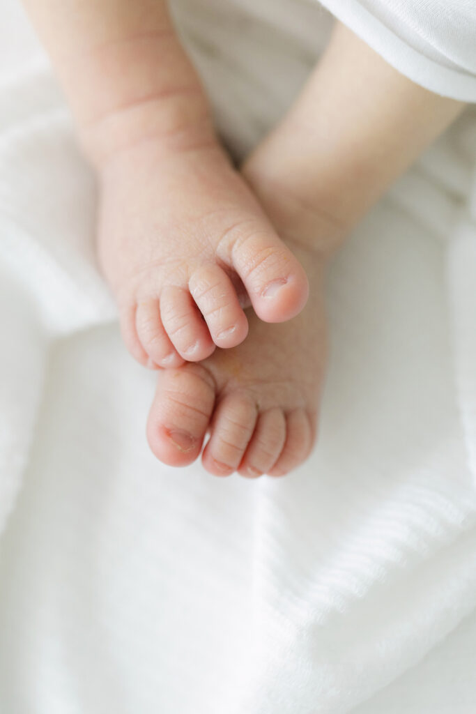 Up close, detail image of infant toes as part of a gallery of images for a Newborn Photo Album created by Julie Brock Photography near Louisville KY at a Newborn Photo Shoot